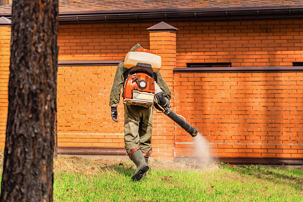 Trusted Cockroach Control service in Lake Sherwood, CA - Nex Pest Control
